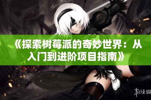 《探索树莓派的奇妙世界：从入门到进阶项目指南》