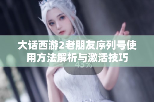 大话西游2老朋友序列号使用方法解析与激活技巧