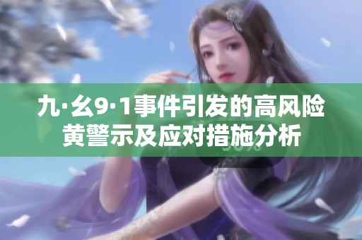 九·幺9·1事件引发的高风险黄警示及应对措施分析