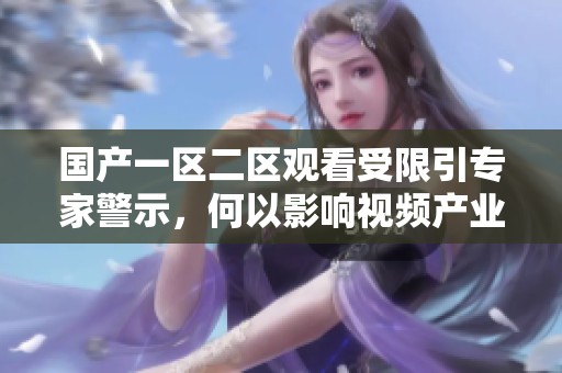 国产一区二区观看受限引专家警示，何以影响视频产业发展