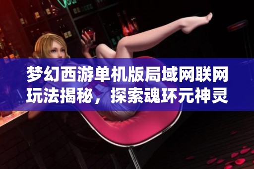 梦幻西游单机版局域网联网玩法揭秘，探索魂环元神灵宝新系统