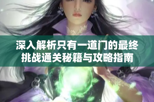 深入解析只有一道门的最终挑战通关秘籍与攻略指南