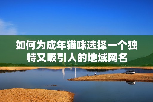 如何为成年猫咪选择一个独特又吸引人的地域网名