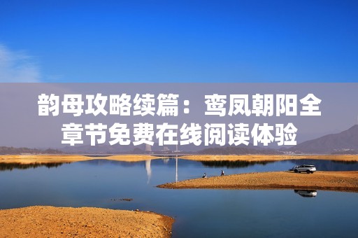 韵母攻略续篇：鸾凤朝阳全章节免费在线阅读体验