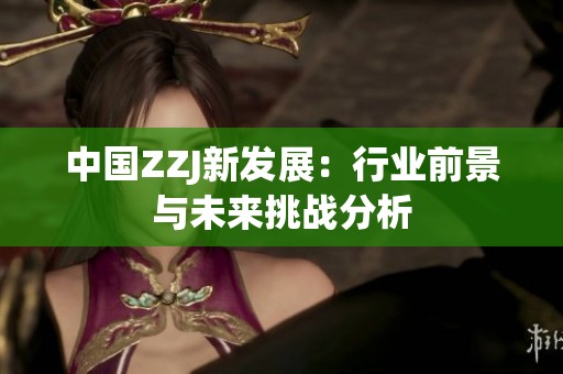 中国ZZJ新发展：行业前景与未来挑战分析