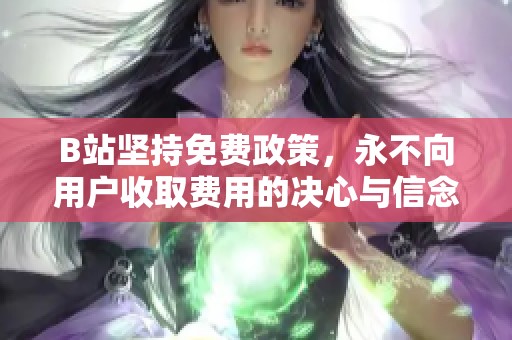 B站坚持免费政策，永不向用户收取费用的决心与信念