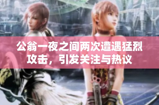 公翁一夜之间两次遭遇猛烈攻击，引发关注与热议