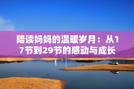 陪读妈妈的温暖岁月：从17节到29节的感动与成长