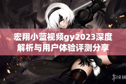 宏翔小蓝视频gy2023深度解析与用户体验评测分享
