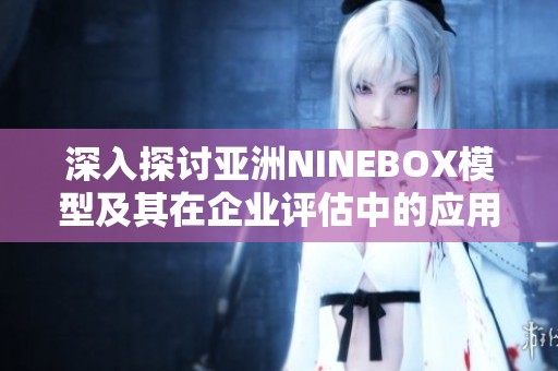 深入探讨亚洲NINEBOX模型及其在企业评估中的应用