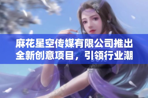 麻花星空传媒有限公司推出全新创意项目，引领行业潮流
