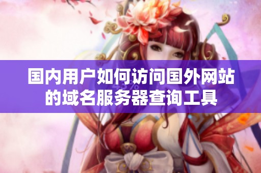 国内用户如何访问国外网站的域名服务器查询工具