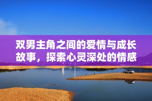 双男主角之间的爱情与成长故事，探索心灵深处的情感纠葛