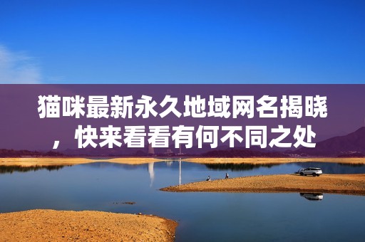 猫咪最新永久地域网名揭晓，快来看看有何不同之处