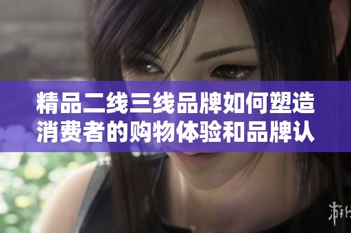 精品二线三线品牌如何塑造消费者的购物体验和品牌认知