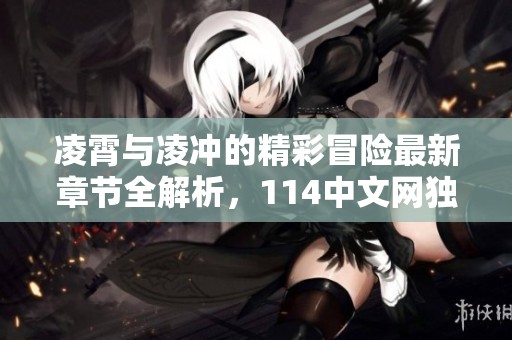 凌霄与凌冲的精彩冒险最新章节全解析，114中文网独家提供