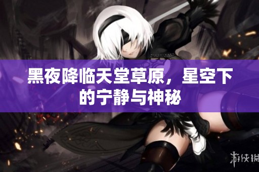 黑夜降临天堂草原，星空下的宁静与神秘