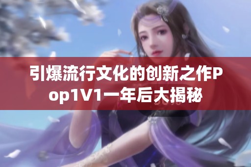 引爆流行文化的创新之作Pop1∨1一年后大揭秘