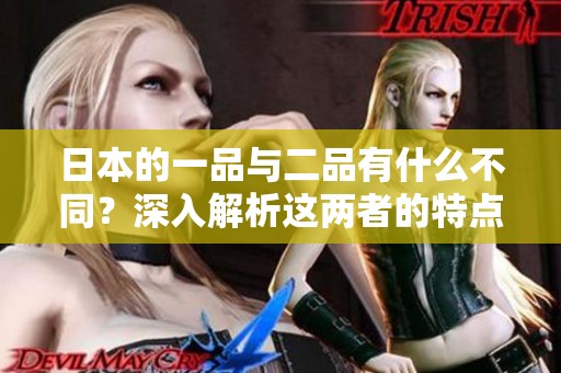 日本的一品与二品有什么不同？深入解析这两者的特点与区别