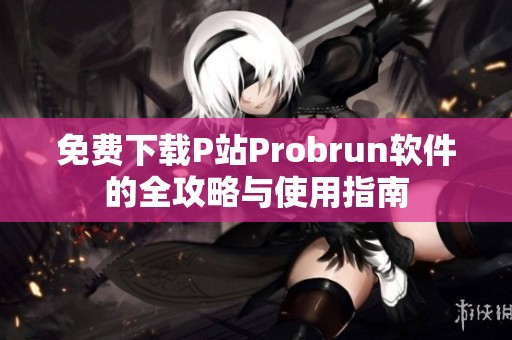 免费下载P站Probrun软件的全攻略与使用指南