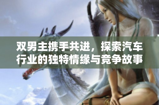 双男主携手共进，探索汽车行业的独特情缘与竞争故事