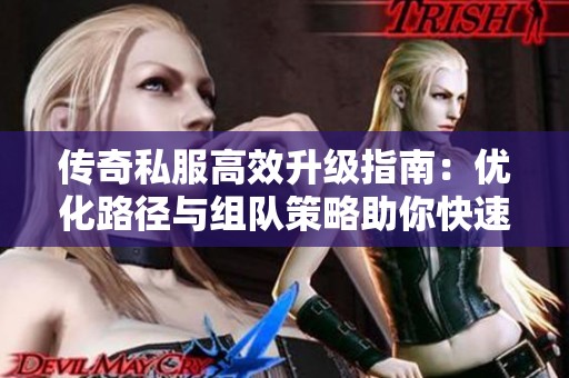 传奇私服高效升级指南：优化路径与组队策略助你快速提升等级