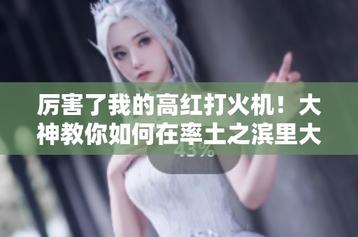 厉害了我的高红打火机！大神教你如何在率土之滨里大杀四方