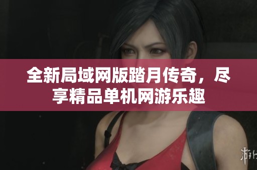 全新局域网版踏月传奇，尽享精品单机网游乐趣