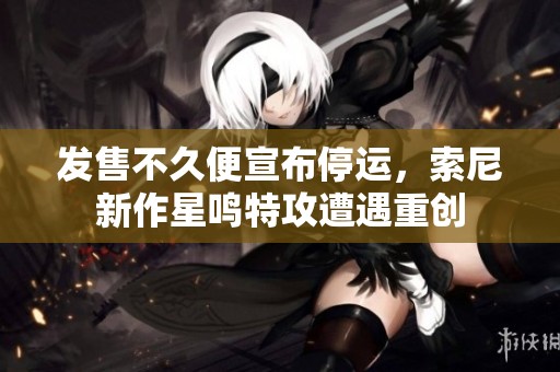 发售不久便宣布停运，索尼新作星鸣特攻遭遇重创