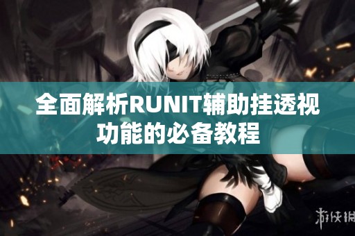 全面解析RUNIT辅助挂透视功能的必备教程