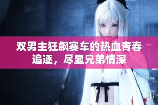 双男主狂飙赛车的热血青春追逐，尽显兄弟情深