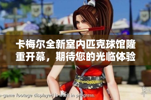 卡梅尔全新室内匹克球馆隆重开幕，期待您的光临体验
