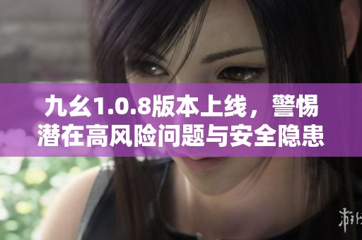 九幺1.0.8版本上线，警惕潜在高风险问题与安全隐患