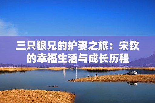 三只狼兄的护妻之旅：宋钦的幸福生活与成长历程