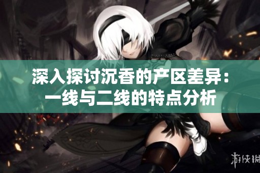 深入探讨沉香的产区差异：一线与二线的特点分析