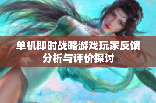 单机即时战略游戏玩家反馈分析与评价探讨