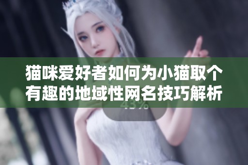 猫咪爱好者如何为小猫取个有趣的地域性网名技巧解析