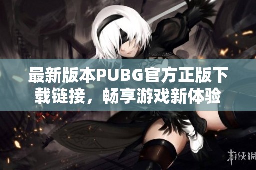 最新版本PUBG官方正版下载链接，畅享游戏新体验