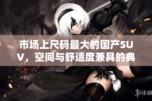市场上尺码最大的国产SUV，空间与舒适度兼具的典范