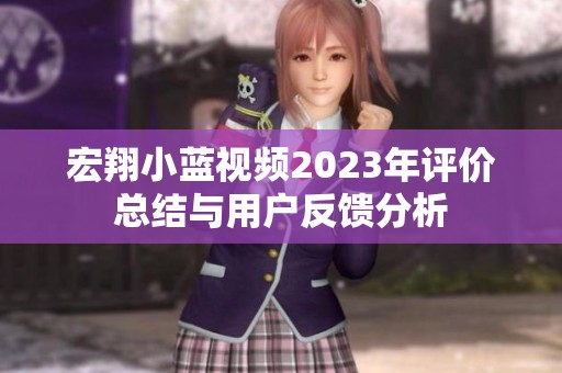宏翔小蓝视频2023年评价总结与用户反馈分析