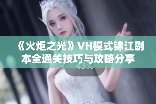 《火炬之光》VH模式锦江副本全通关技巧与攻略分享