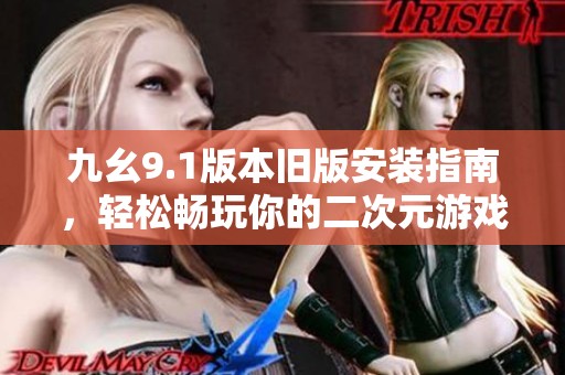 九幺9.1版本旧版安装指南，轻松畅玩你的二次元游戏世界