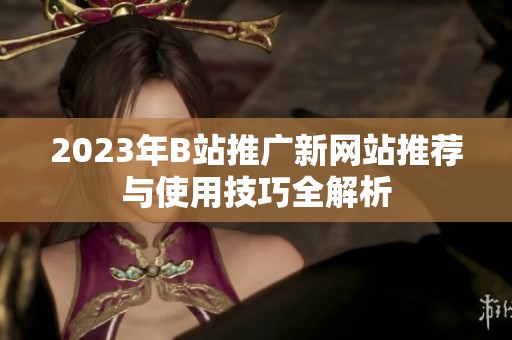 2023年B站推广新网站推荐与使用技巧全解析