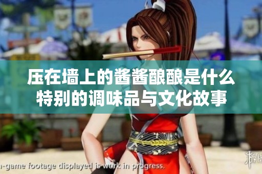 压在墙上的酱酱酿酿是什么特别的调味品与文化故事