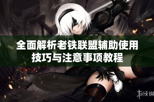全面解析老铁联盟辅助使用技巧与注意事项教程