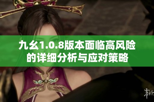 九幺1.0.8版本面临高风险的详细分析与应对策略