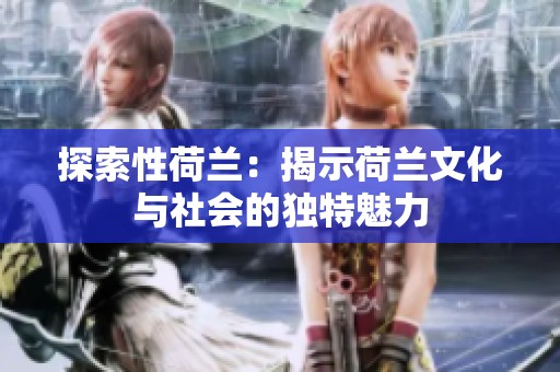 探索性荷兰：揭示荷兰文化与社会的独特魅力