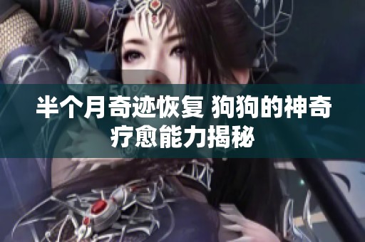 半个月奇迹恢复 狗狗的神奇疗愈能力揭秘
