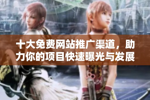 十大免费网站推广渠道，助力你的项目快速曝光与发展