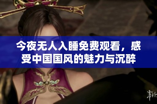 今夜无人入睡免费观看，感受中国国风的魅力与沉醉